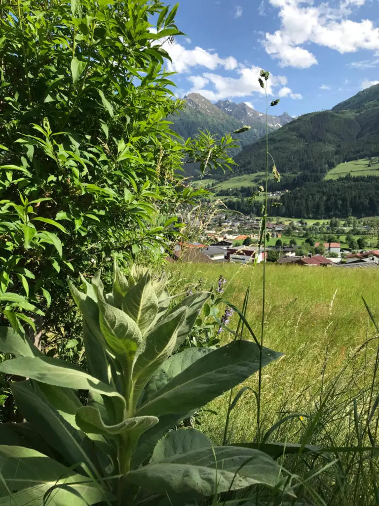 Der Ausblick auf Niedernsill im Sommer von unsrer Hausbank aus